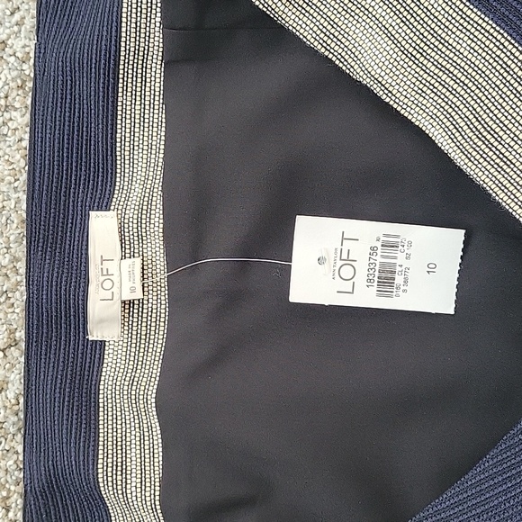 Ann Taylor Loft Skirt Size 10 - Picture 3 of 4
